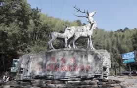 企业团建基地介绍：长沙黑麋峰玫瑰鹿谷
